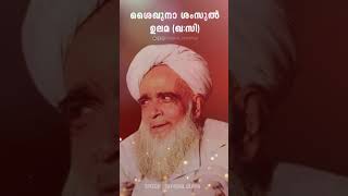 സയ്യിദുൽ ഉലമ ശംസുൽ ഉലമയെ കുറിച്ച്❤️  #shansullulama #sayyidululama #shamsululama ശംസുൽ ഉലമ ആണ്ട്24