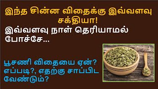 கொஞ்சம் பூசணி விதையை  இப்படி சாப்பிட்டால் இந்த ஆபத்தான நோய்கள் கிட்டவே வராது... | pumpkin seeds