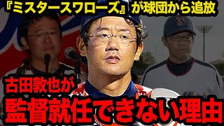 古田敦也がヤクルトスワローズ監督に”就任できない理由”に一同驚愕…低迷する球団の救世主として次期監督を熱望されている『ミスタースワローズ』が選手・球団から嫌われている理由がヤバい【プロ野球】