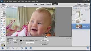 Remove background from a photo in Photoshop Elements