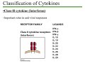 biol3530 cytokines