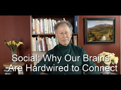 Why Our Brains And Bodies Are Hardwired To Connect - YouTube