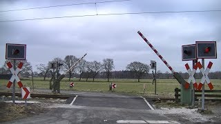 Spoorwegovergang Westerstede-Ocholt (D) // Railroad crossing // Bahnübergang