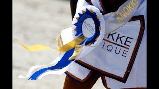 Knokke Hippique 2017 Aftermovie