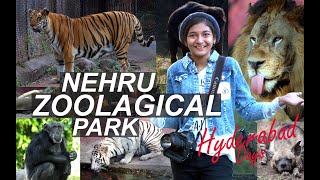 ആന മയിൽ ഒട്ടകം🐘🦚🐪 /Nehru Zoological Park / Akiya Komachi