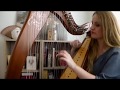 Lady Gaga - The Cure (Harp Cover)