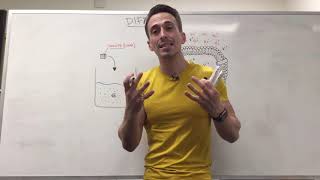 Diffusion | Membrane Transport