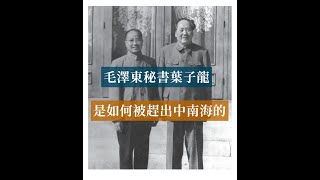 Ye Zilong, the secretary of Mao Zedong who is greedy for money and lustful#歷史的迴響#黨史逸聞