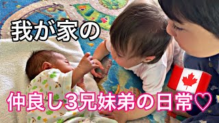 【生後2週間】我が家のわちゃわちゃ騒がしい毎日に密着‼️