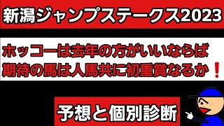 [新潟ジャンプステークス2023]予想と個別診断