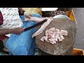 original koduva fish cutting video fishcuttingrs fishcuttingrs fish kasimedu