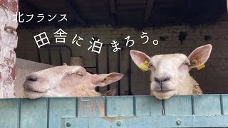 【週末フランス旅】牧場で最高の朝食, カントリー調の素敵なお部屋 /Spend weekend and have the best break fast in a farm