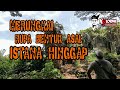 🔴 MERUNGKAI RUPA BENTUK ASAL ISTANA HINGGAP | KOTA TINGGI, JOHOR.