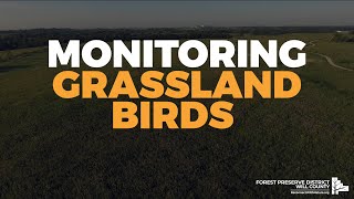 Monitoring grassland birds