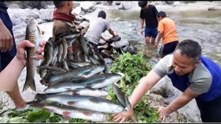 Duwali fishing in Nepal  himalayan trout  Asala machha Khotang #fishingNepal