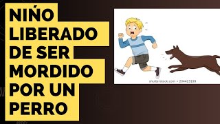 PERRO TENIA DE REHEN A UN NIÑO EN SANTO DOMINGO