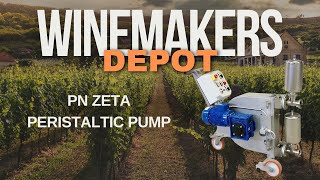 Zambelli ZETA-PE Peristaltic Pump