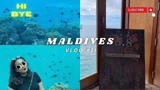 Undersea Restaurant in Maldives | Famtrip to Kuredu & Hurawalhi Island Resort [MALDIVES VLOG #21]