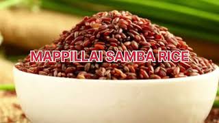 MAPPILLAI SAMBA RICE BENEFITS#மாப்பிள்ளை சம்பா அரிசி பலன்கள்#Today Headlines#Tamil News#Breaking New