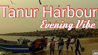 താനൂർ ഫിഷ് ഹാർബർ | Tanur Fish Harbour | താനൂർ കടപ്പുറം | fish harbour |