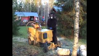 Arboristi.eu, Turemus-majava hoitaa ja kaataa puut, sekä jyrsii kannot.wmv