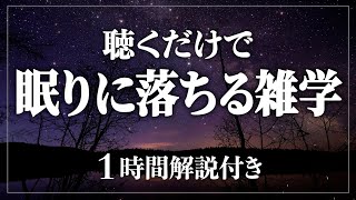 【睡眠導入/作業用】99%の人が知らない雑学 寝ながら賢くなる日常生活100の雑学1時間 ストレス緩和、疲労回復【BGMなし】【男性朗読】