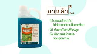 ฟังเสียงจากผู้ใช้จริง บาสต้าเอ็กซ์กำจัดวัชพืชได้อย่างไร? ทำไมถึงปลอดภัยต่อพืชและดิน ... มาดูกัน!