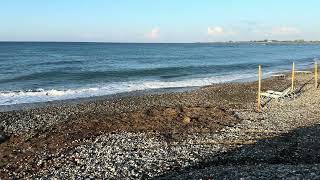 SUNRISE at MANDRIA BEACH in CYPRUS *11 NOVEMBER 2024*