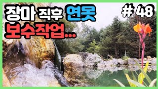 [EN]미친듯한 장마에 연못으로 달려왔어요 #48