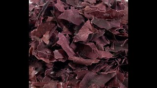 Dulse 101 - What is Dulse?