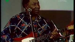Muddy Waters in 1976: Kansas City (superb cover)