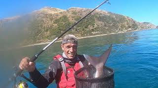 What a 'MORNING' Kayak Fishing in New Zealand