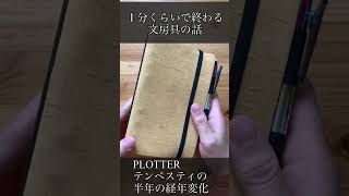 【文房具ばなし】PLOTTERテンペスティの半年の経年変化について