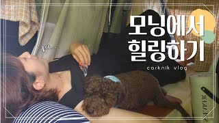 [경차모닝으로차크닉하기] 작은 차 안에서 강아지랑 힐링하는법 어렵지 않아요/노지차박/스텔스카크닉