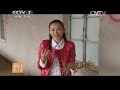 20141113 每日农经 吃甘草的羊