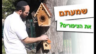 איך בונים שובך מעץ - חוג נגרות - מעוז טולדו