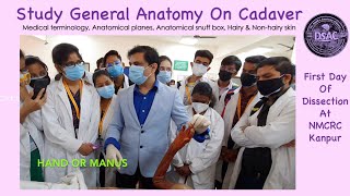 Study general anatomy on cadaver, First day at dissection hall, Medical \u0026 anatomical terminology