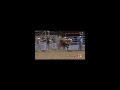 Trisyn Kalawaia 4.1s 2024 Calgary Stampede