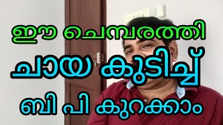 ബീ പി കുറക്കണോ,, ദിവസവും ഈ ചെമ്പരത്തി ചായ കുടിച്ചാൽ മതി,,/ how to be P removal natural home remedy i