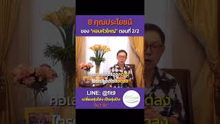 8 คุณประโยชน์ของ “หอมหัวใหญ่” ตอนที่ 2 #หัวหอม #onion #hdl #คอเลสเตอรอล #ภูมิแพ้ #หอบหืด #สุขภาพ