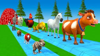 Paint \u0026 Animals Cow,Gorrila,Elephant,Sheep,Deer,Tiger, Fountain Crossing Transformation Cartoon