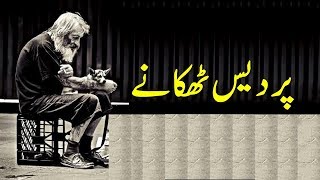 Poetry in Punjabi Love | Pardes Thikanay By Saeed Aslam | Punjabi Poetry | Snack Videos