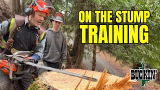 So You Wanna Cut Trees, Do Ya?