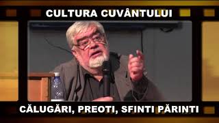 ANDREI PLEȘU - EU CÂND VREAU SĂ DORM BINE MĂ UIT LA TRINITAS