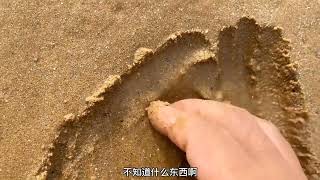 大海退潮后沙滩上特别多小果冻还有很多稀有靓货【海边鲜源】