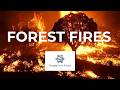 How to Detect Burned Areas and Forest Fire using Sentinel in Google Earth Engine