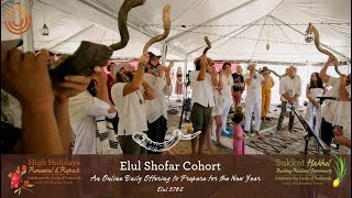 Elul Shofar Cohort: Week 2 (5782) Compilation