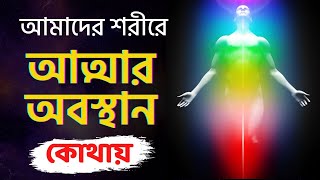 মানব শরীরে আত্মার নিবাস কোথায় ? | Where Does Soul Live in Human Body ? | Bengals Golpo Archive