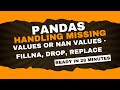 Pandas Missing Values Tutorial: fillna, dropna, isnull, replace, & More