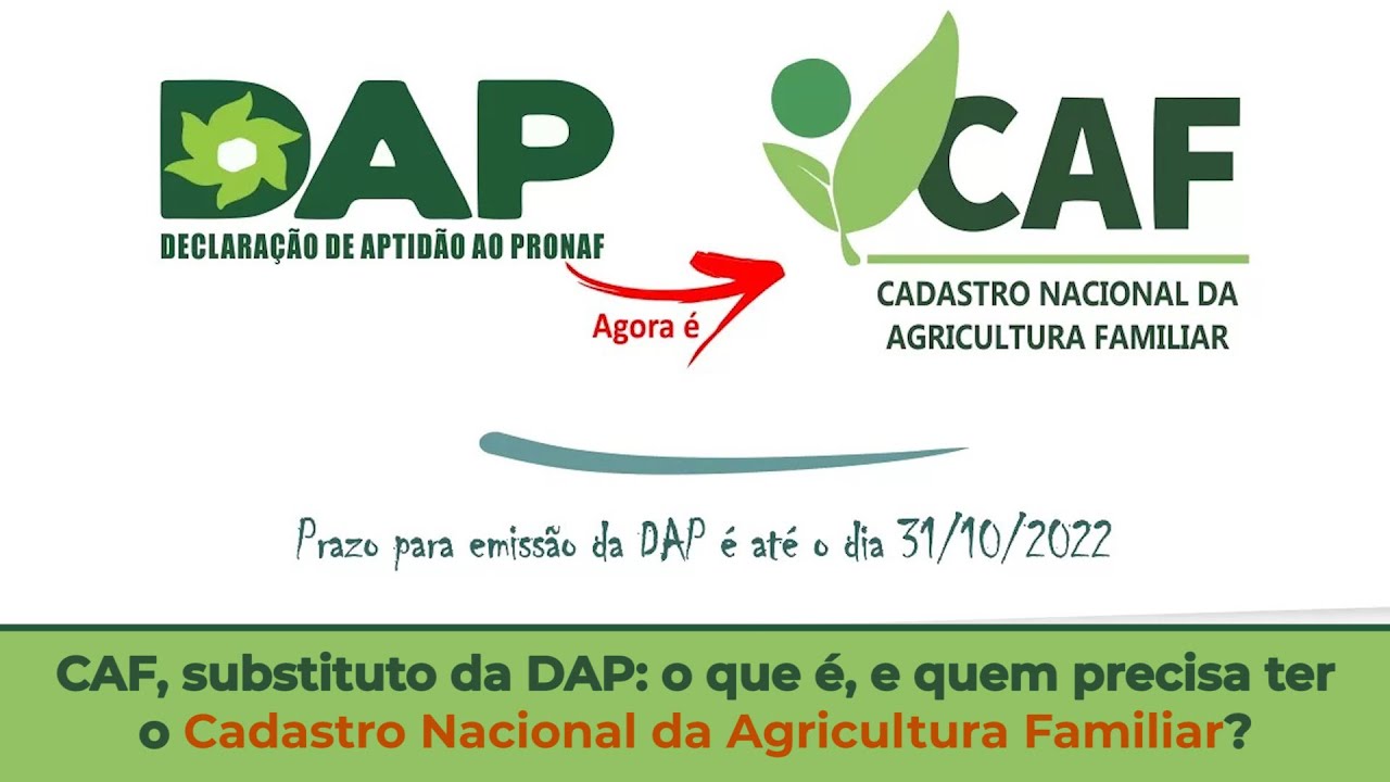 CAF, Substituto Da DAP: O Que é, E Quem Precisa Ter O Cadastro Nacional ...